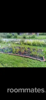 Room for rent in Trevor, WI $1000, house