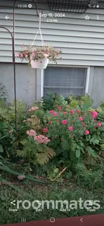 Room for rent in Trevor, WI $1000, house