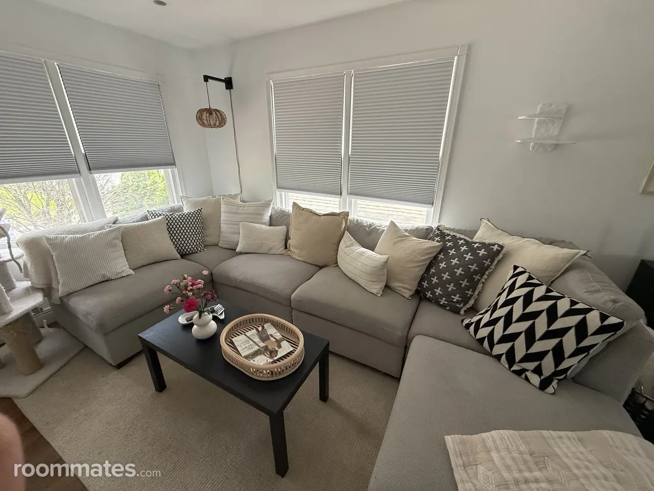 Profile photo 7 of 11