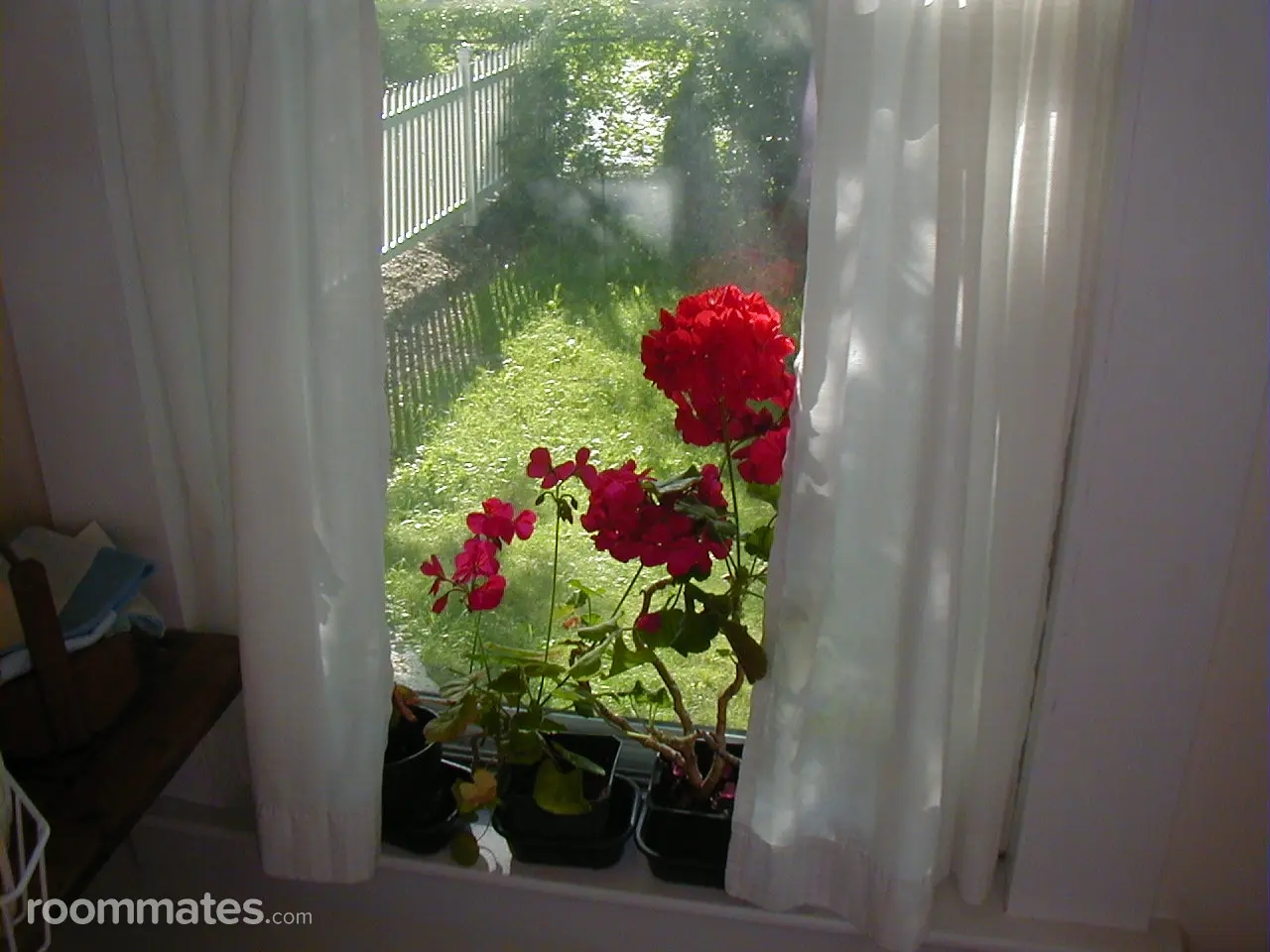 Profile photo 4 of 5