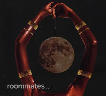 Roommate looking Dallas Center, IA, $600