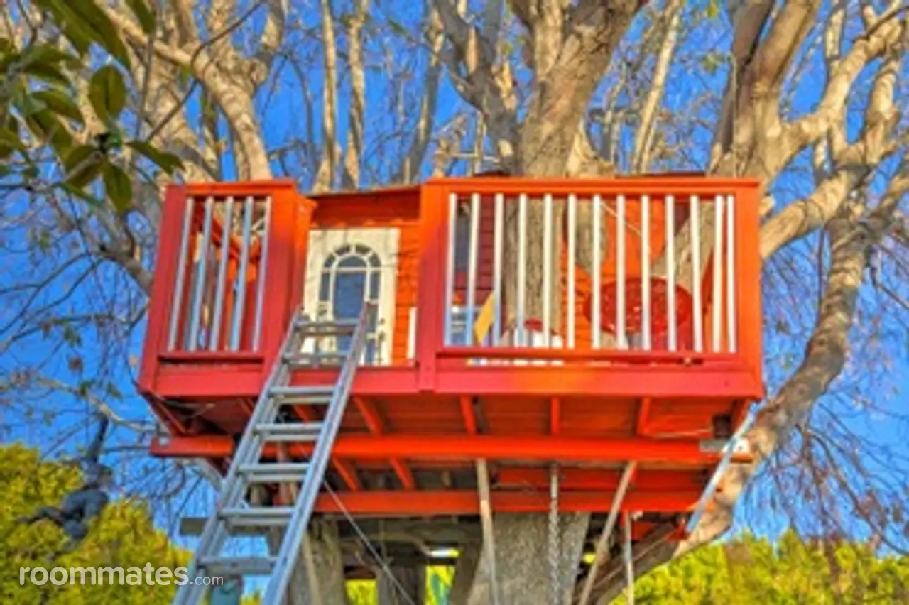 Profile photo 4 of 12