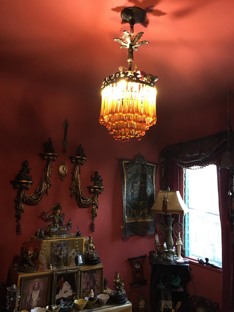 Profile photo 11 of 12