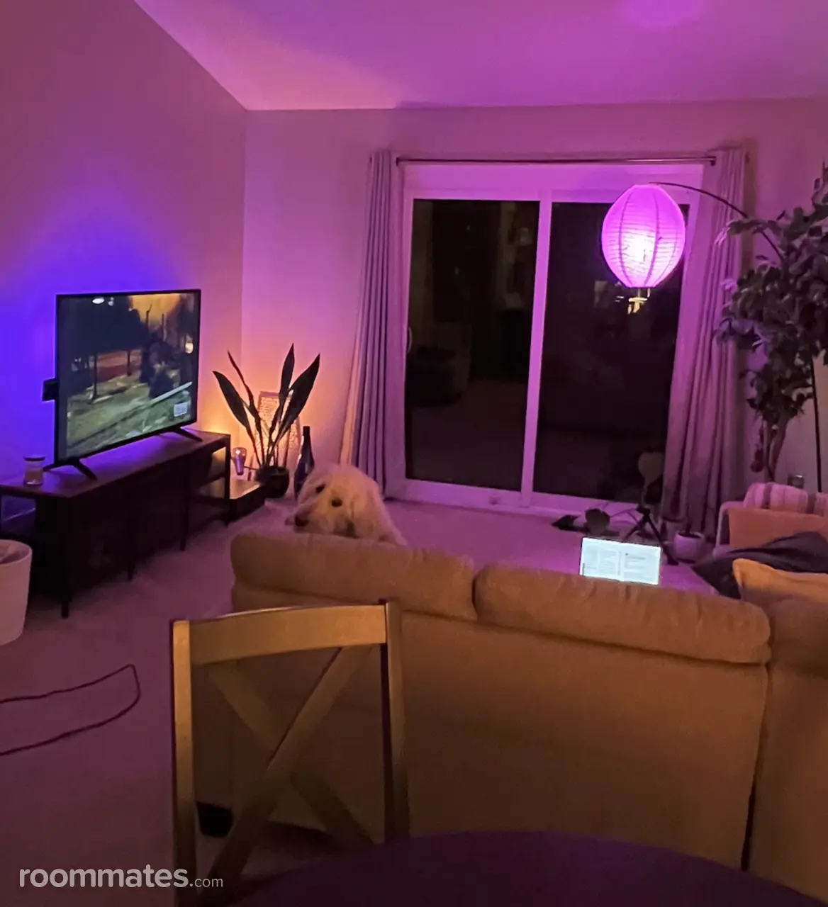 Profile photo 9 of 12