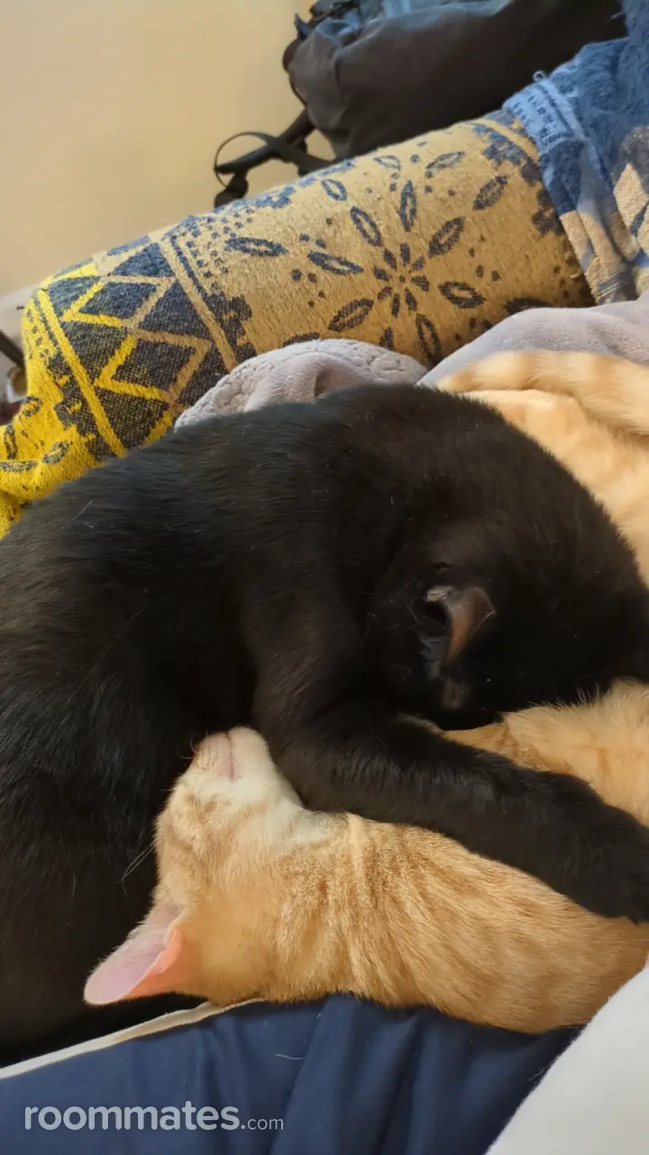 Profile photo 2 of 3