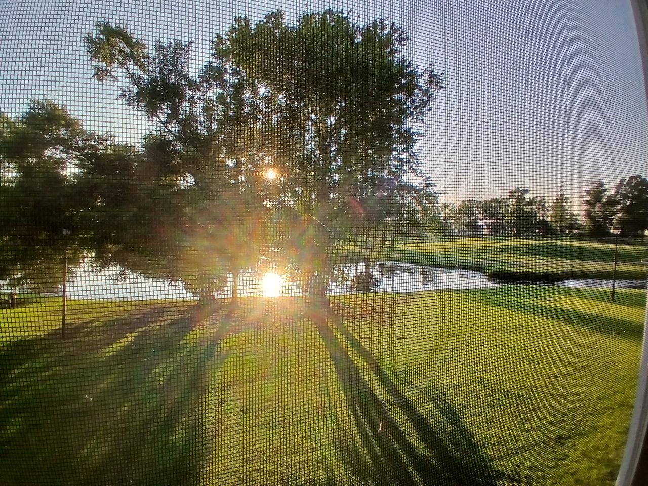 Profile photo 8 of 9