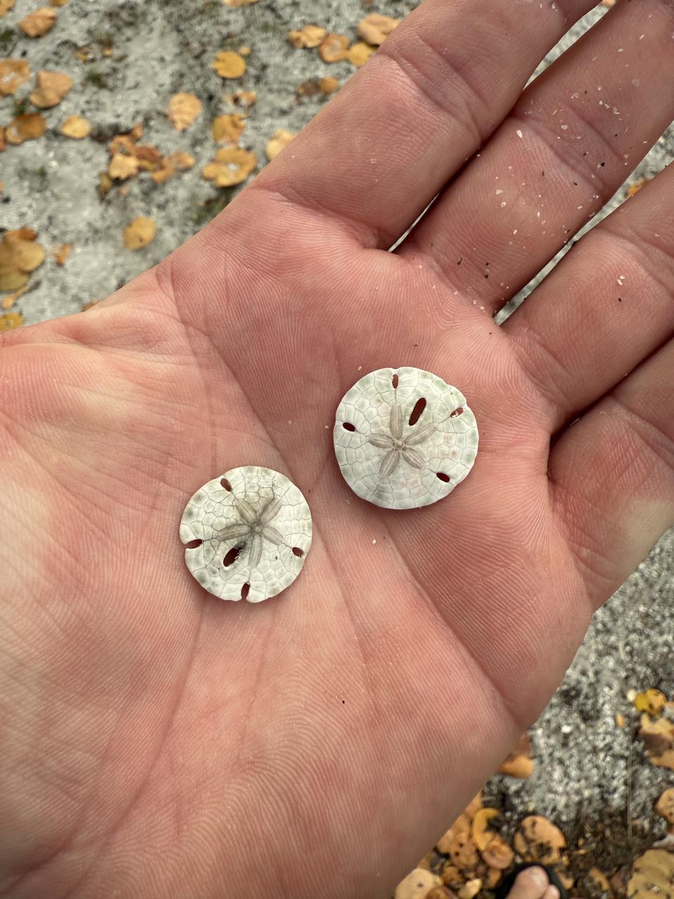 Profile photo 6 of 8