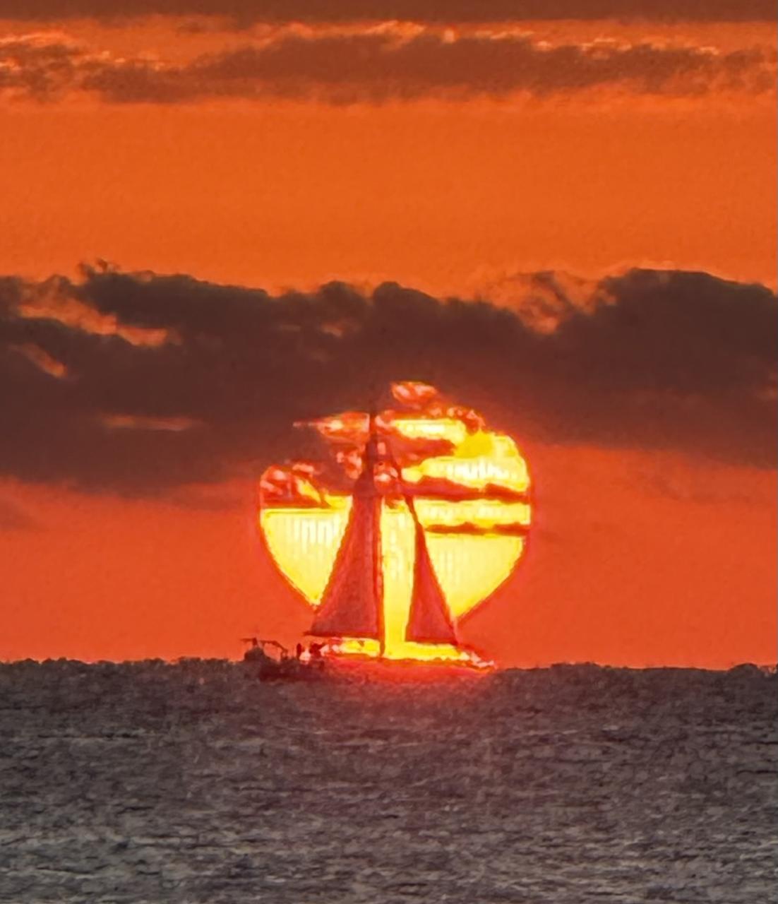 Profile photo 2 of 8