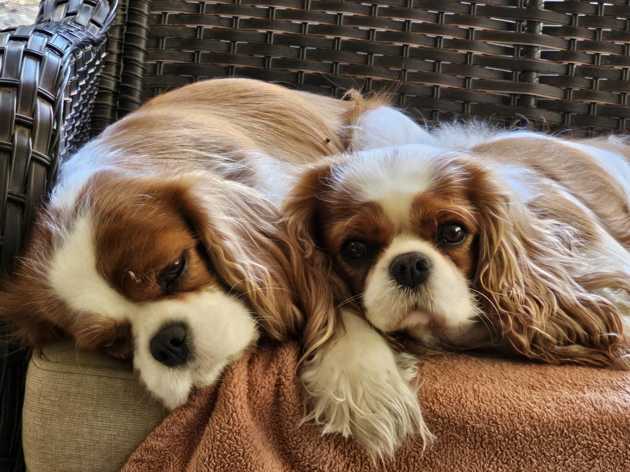 Profile photo 11 of 12