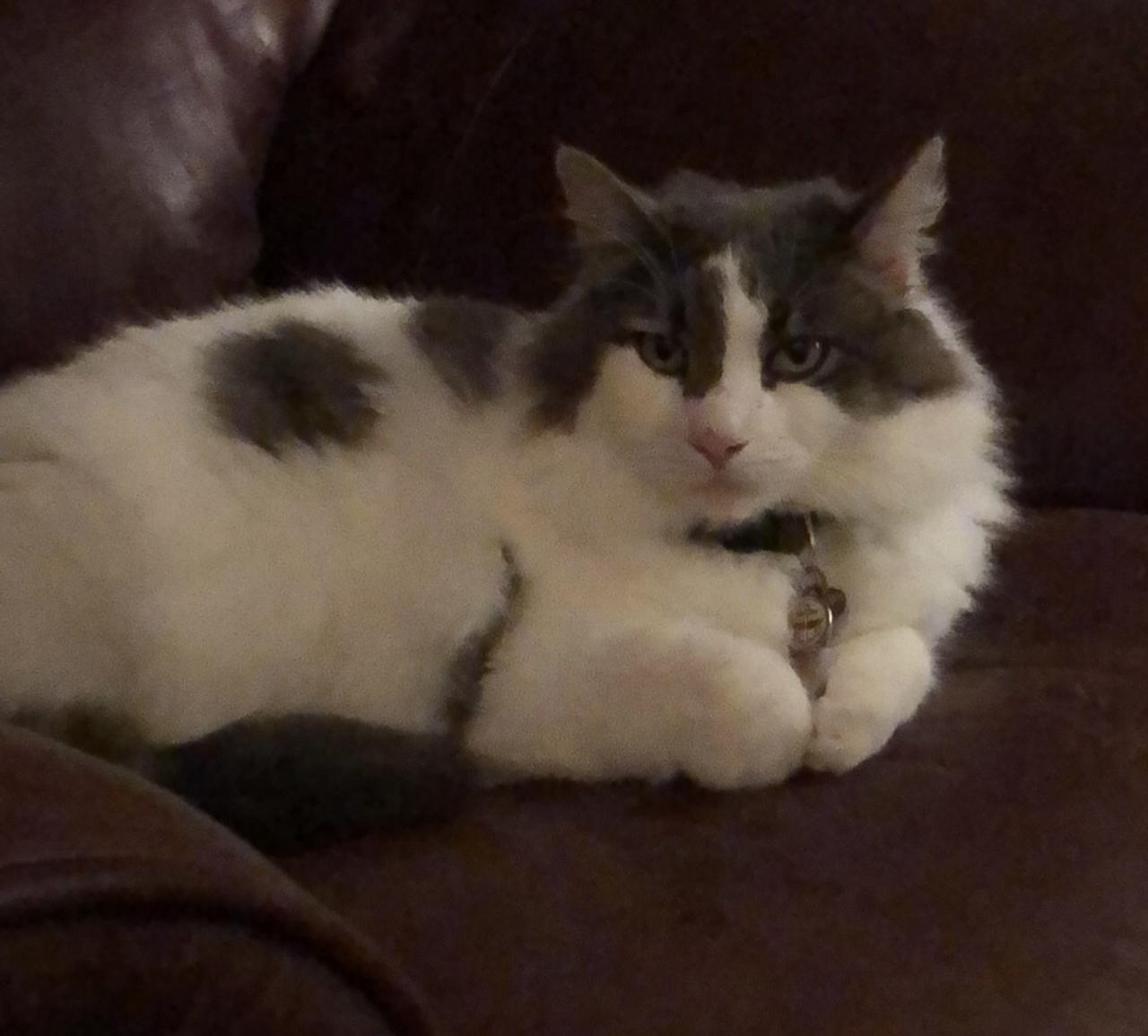 Profile photo 1 of 1