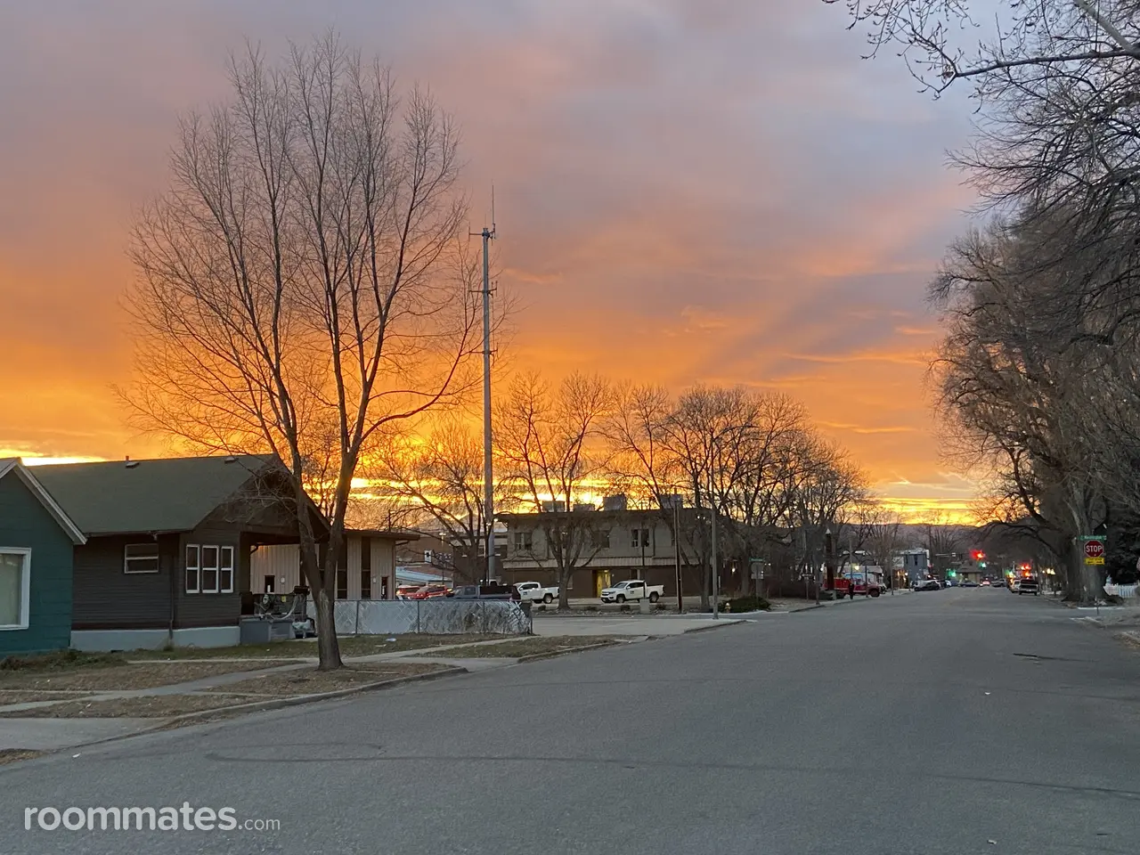 Profile photo 1 of 1