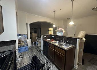 Room for rent in Jacksonville, North Carolina $750, house