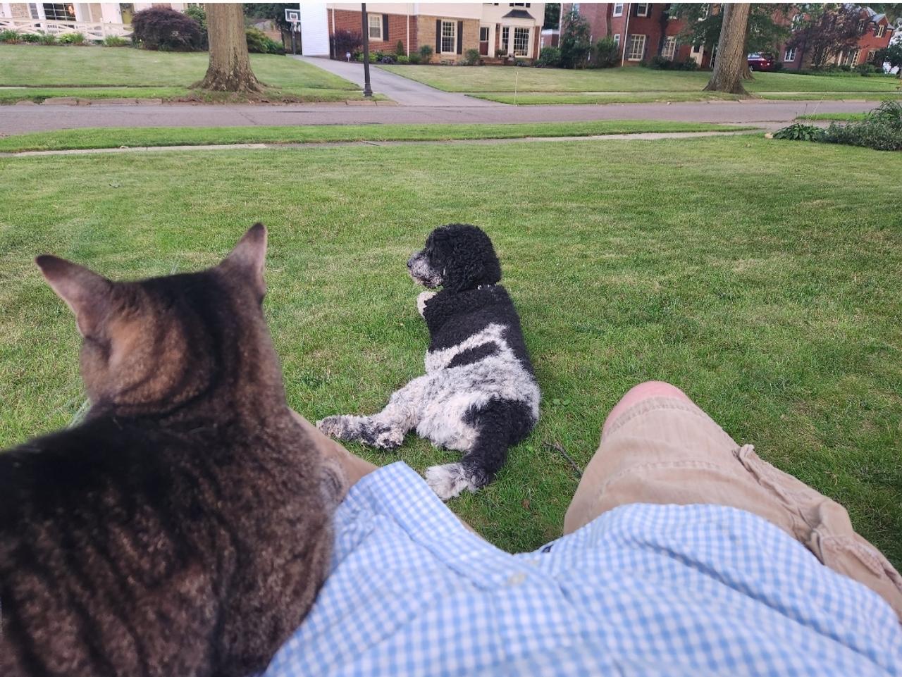 Profile photo 3 of 12