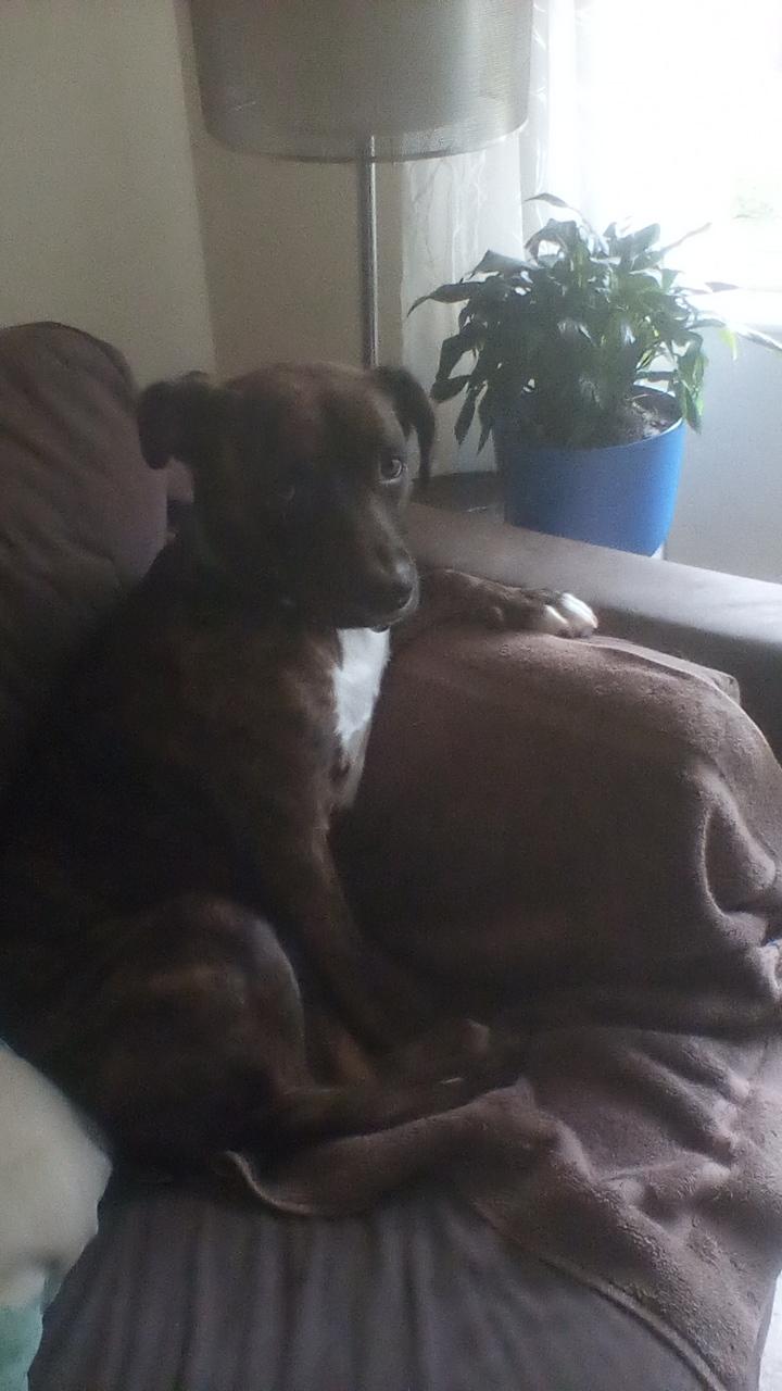 Profile photo 3 of 5