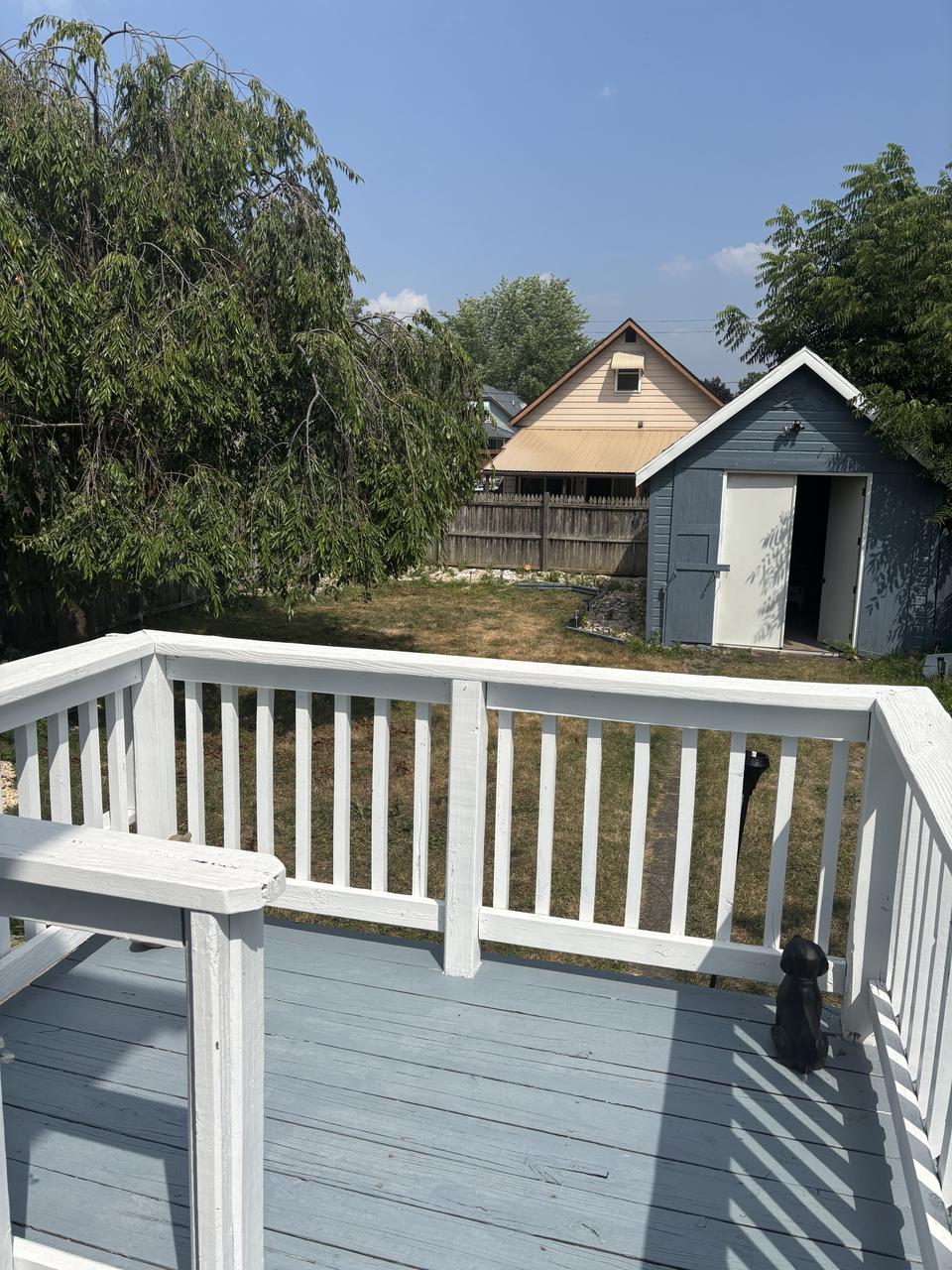 Profile photo 9 of 11