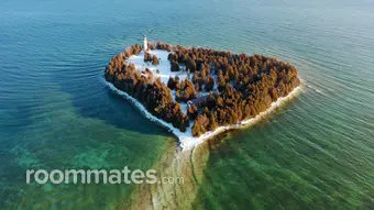 Roommate looking Miami, FL, $1200