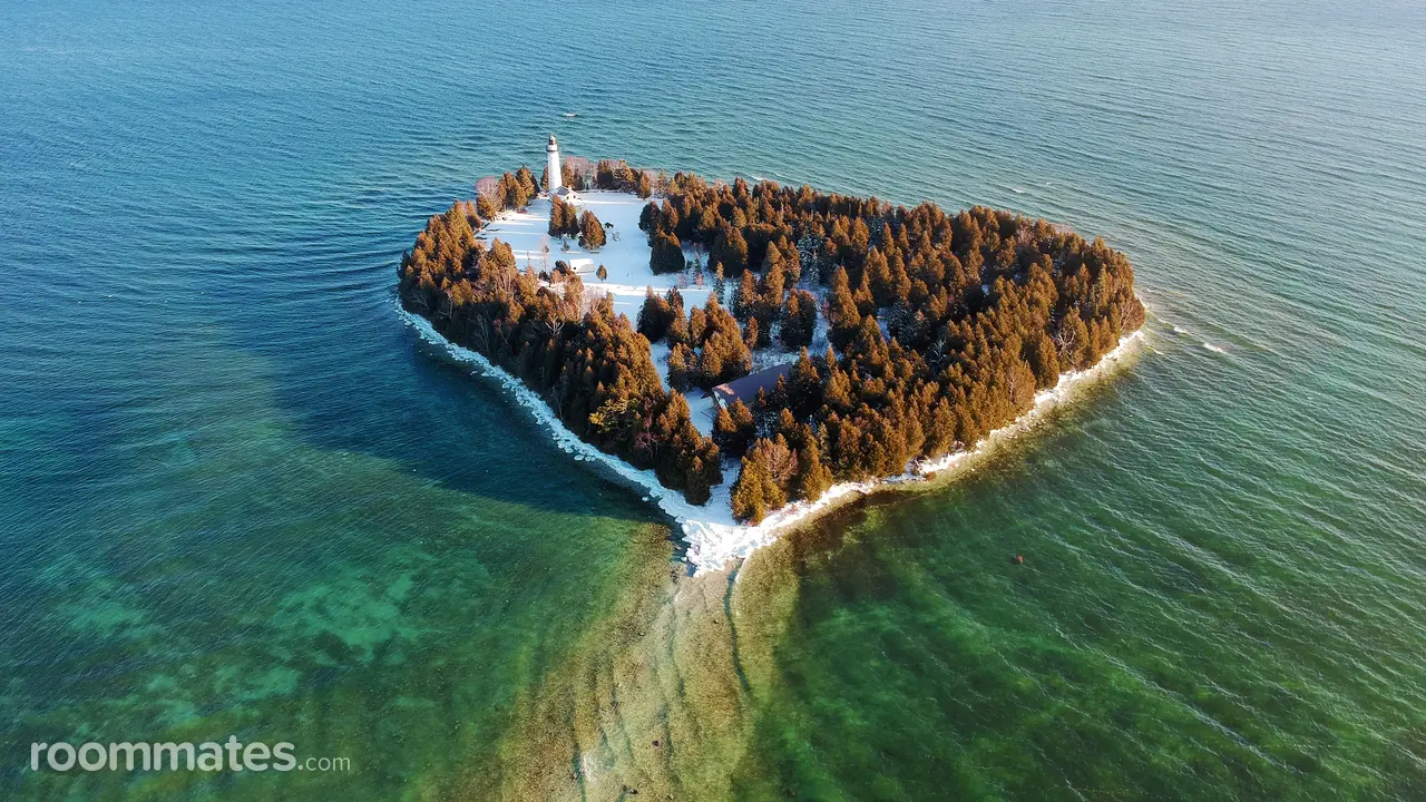 Profile photo 1 of 1