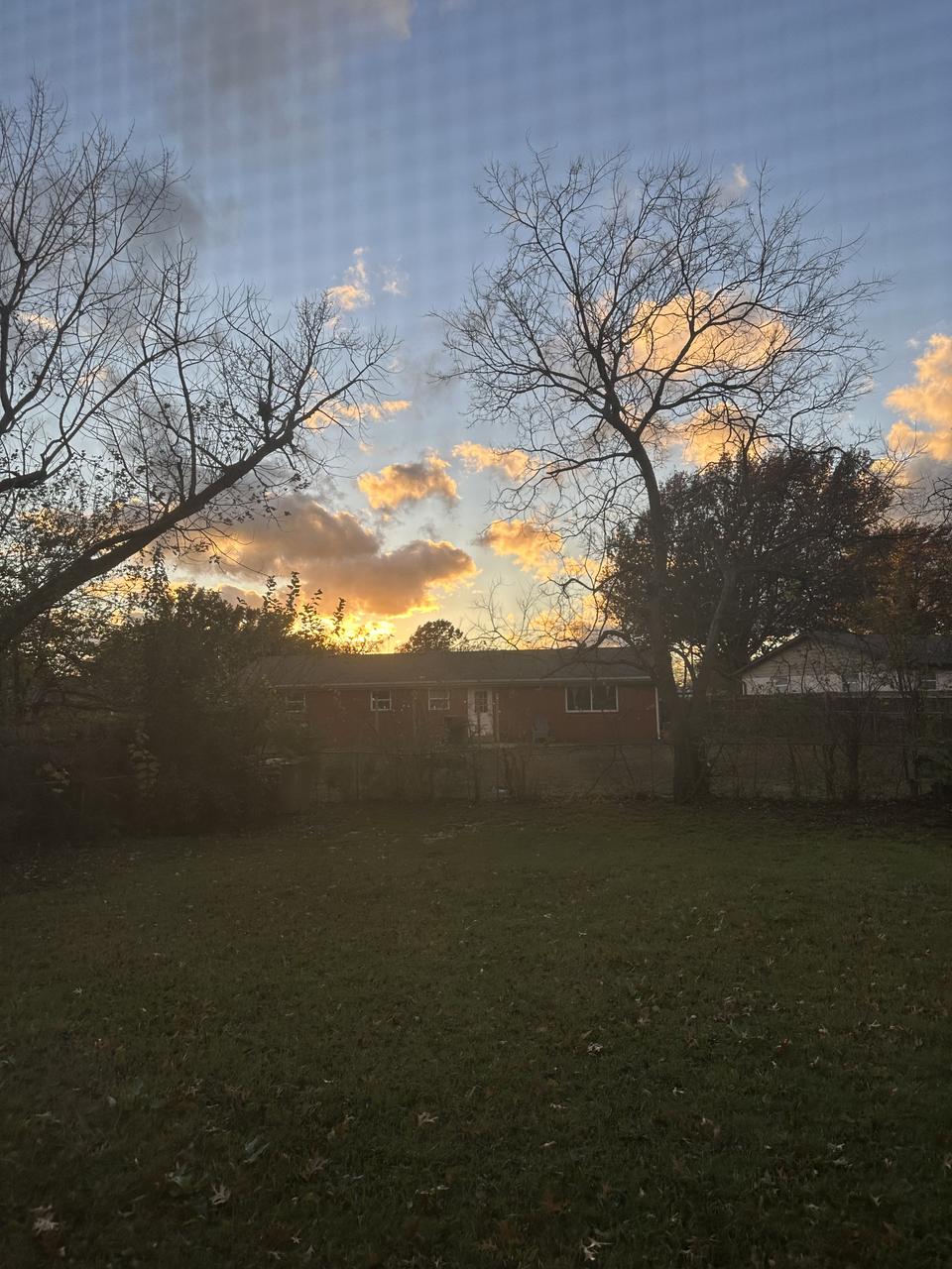 Profile photo 3 of 8