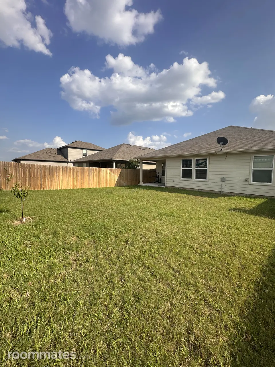 Profile photo 5 of 7