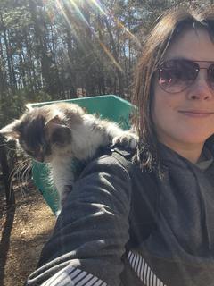 Roommate looking Newnan, GA, $700