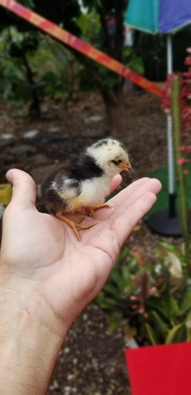 Profile photo 6 of 7