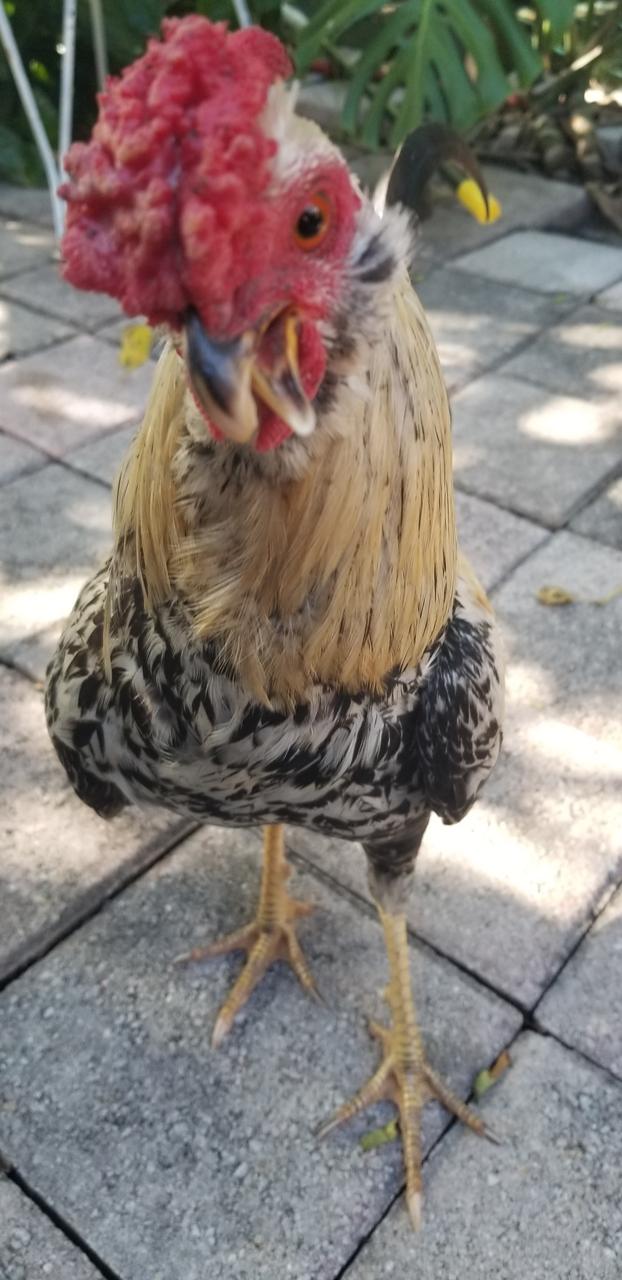 Profile photo 5 of 7