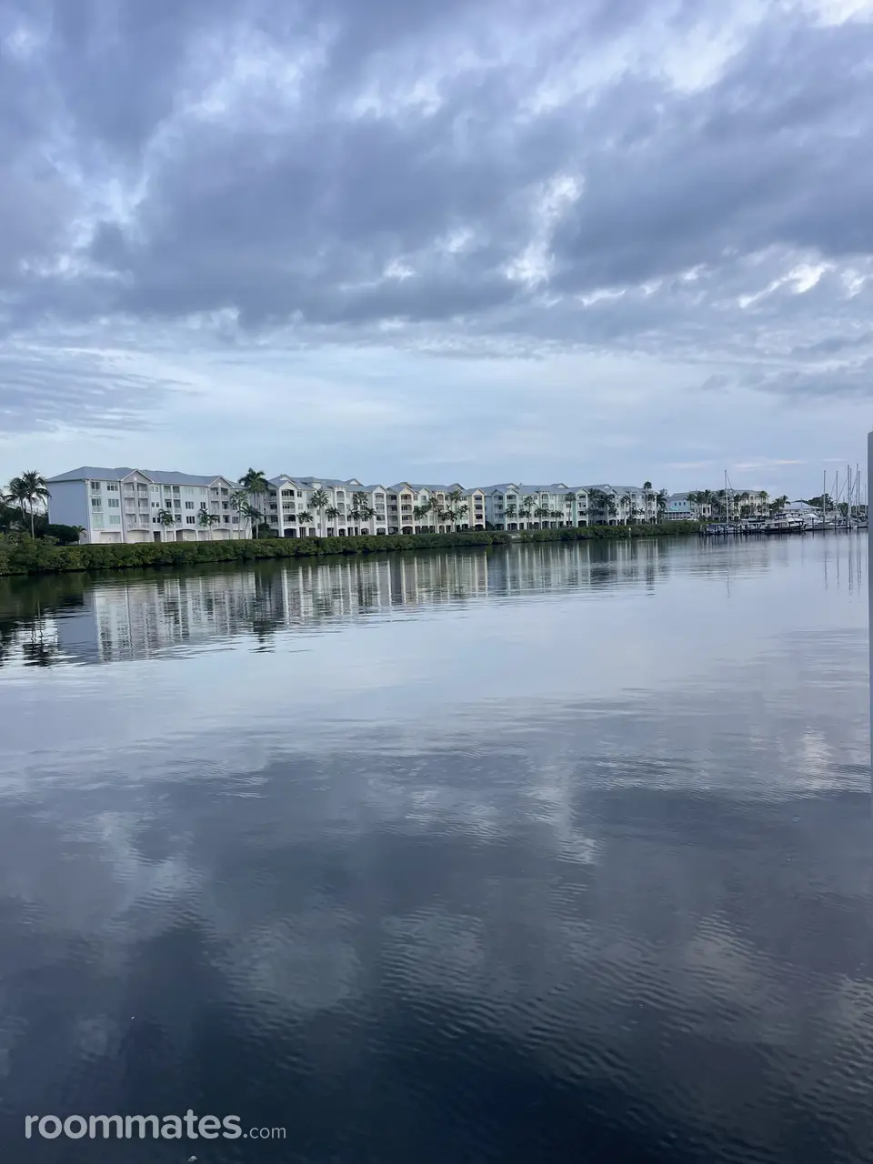 Profile photo 11 of 14