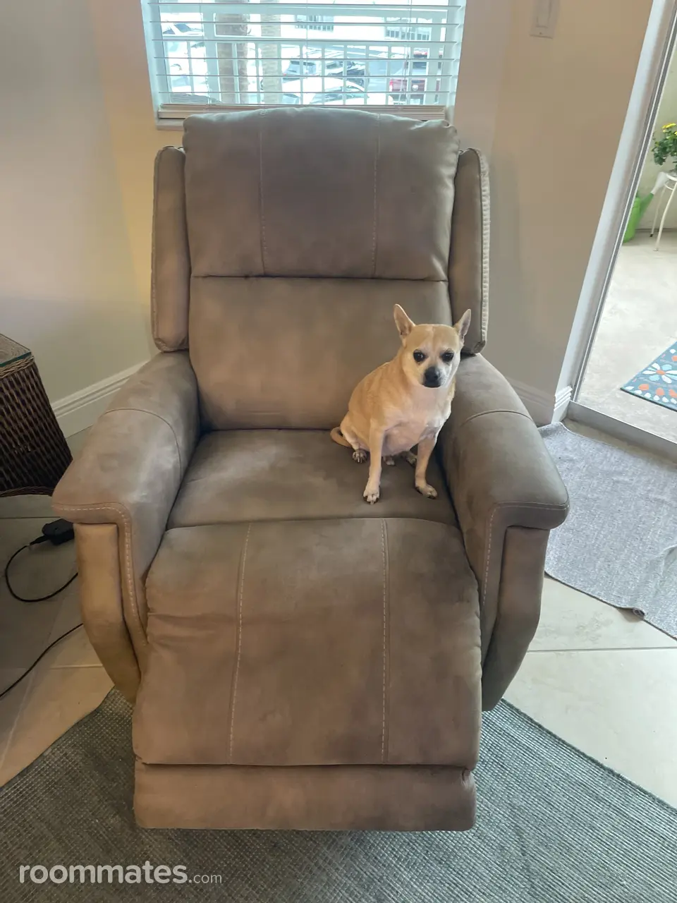 Profile photo 10 of 14