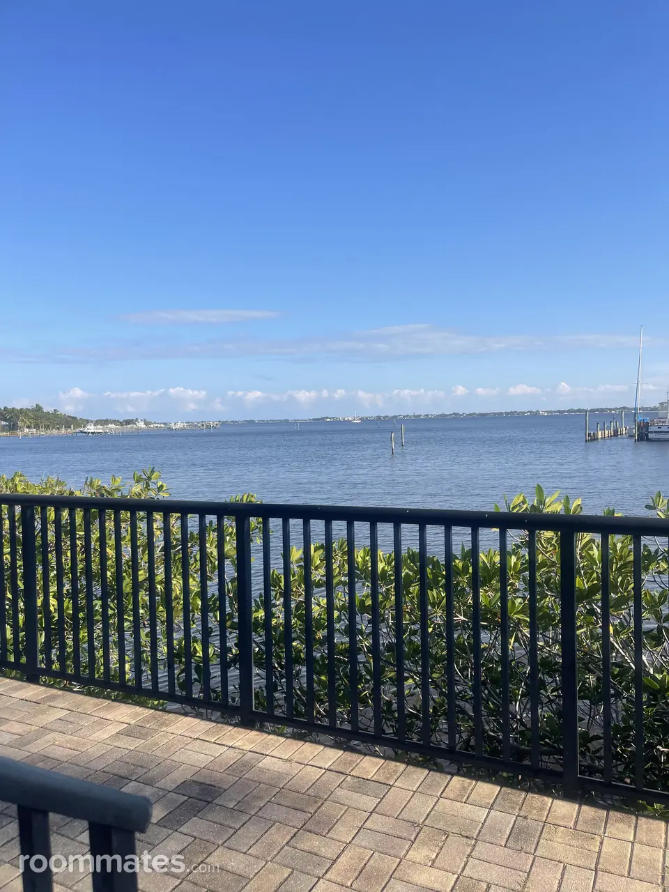 Profile photo 8 of 14