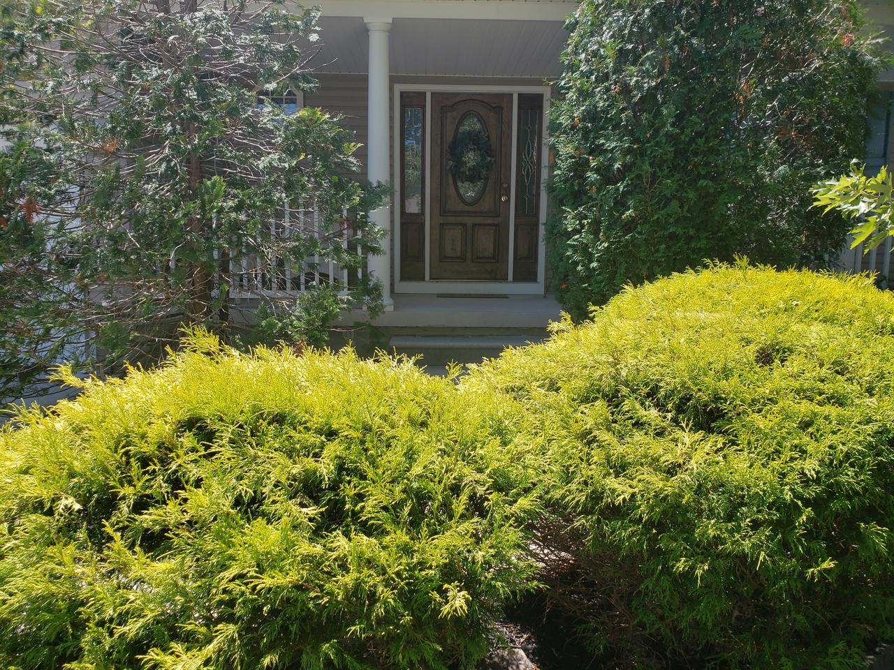 Profile photo 3 of 11