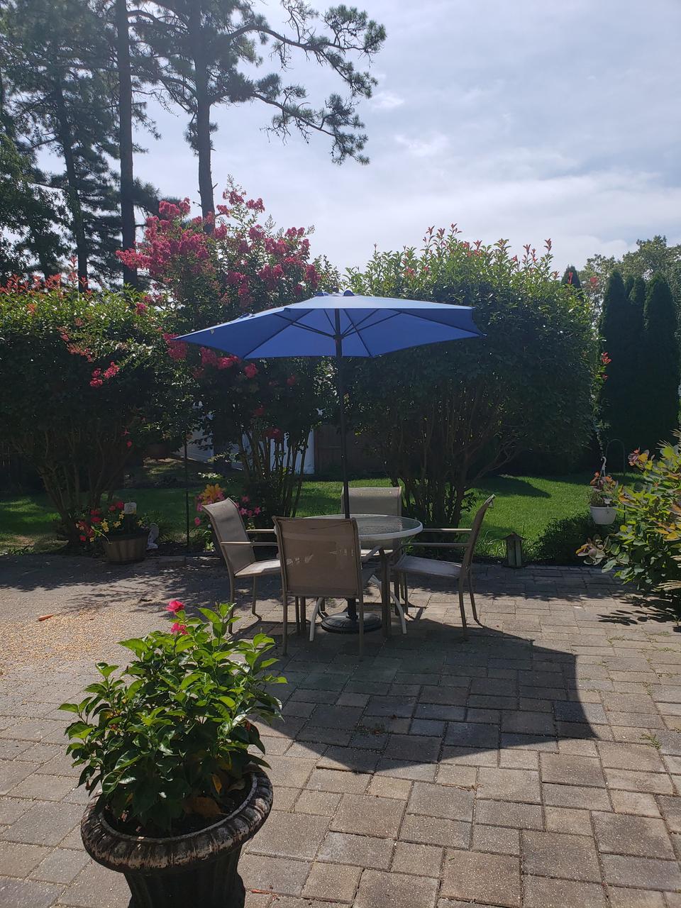 Profile photo 9 of 11