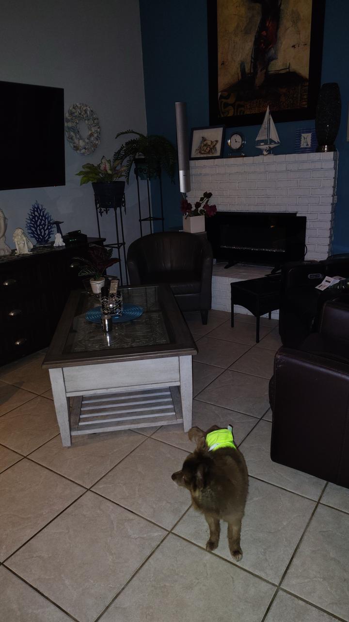 Profile photo 3 of 14