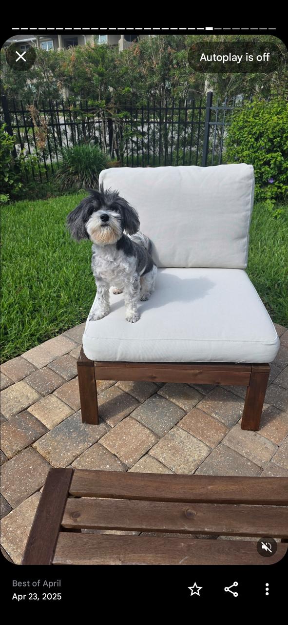 Profile photo 16 of 16