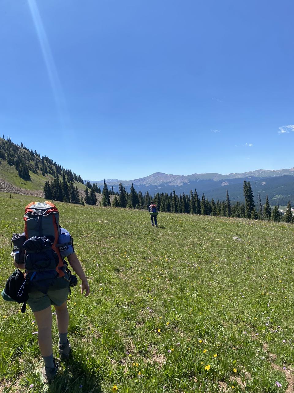 Profile photo 2 of 6