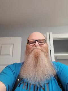 Roommate looking Indianapolis, IN, $800