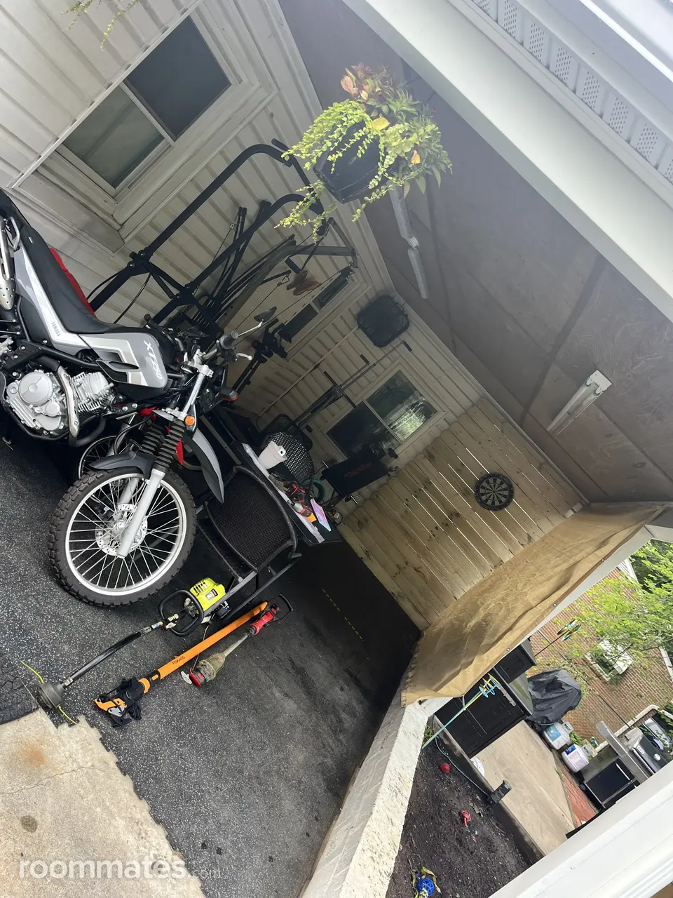 Profile photo 8 of 13