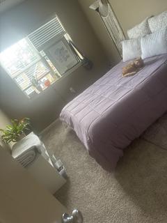 Room for rent in Chesapeake, Virginia $1000, apartment