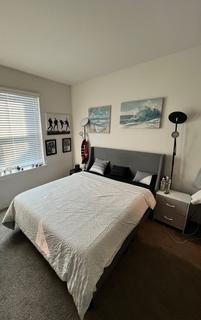 Room for rent in Raleigh, North Carolina $1100, apartment