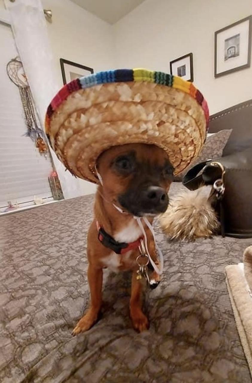 Profile photo 6 of 10