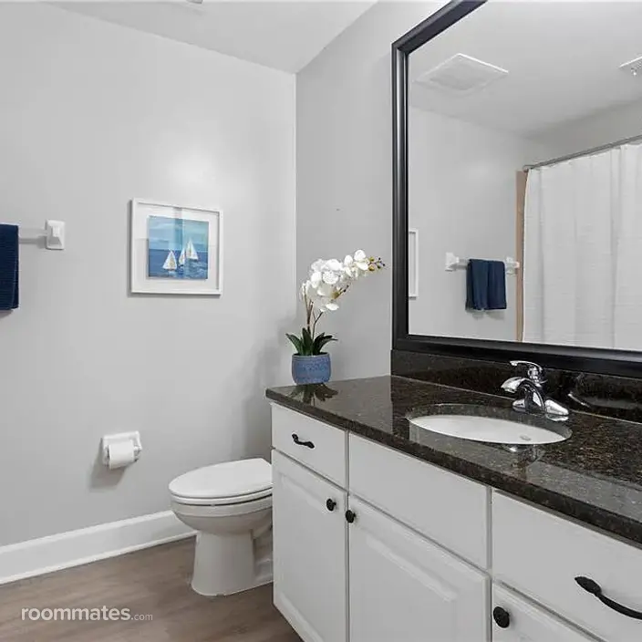 Room for rent in St. Petersburg, FL $950, condo