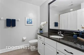Room for rent in St. Petersburg, FL $1000, condo