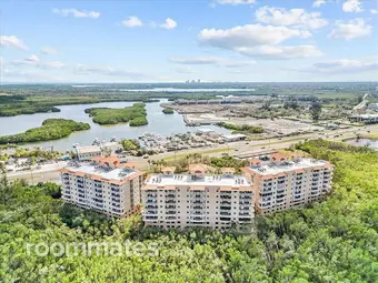 Room for rent in St. Petersburg, FL $1000, condo