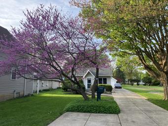 Room for rent in North Tonawanda, New York $900, house