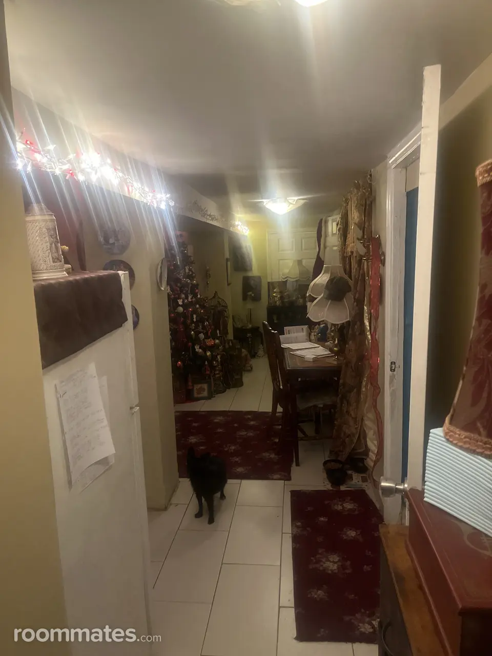 Profile photo 4 of 10