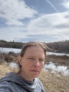 Roommate looking Manchester, NH, $1000