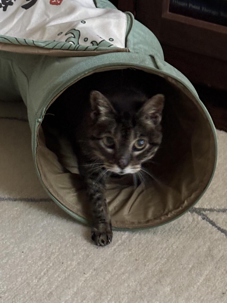 Profile photo 10 of 11