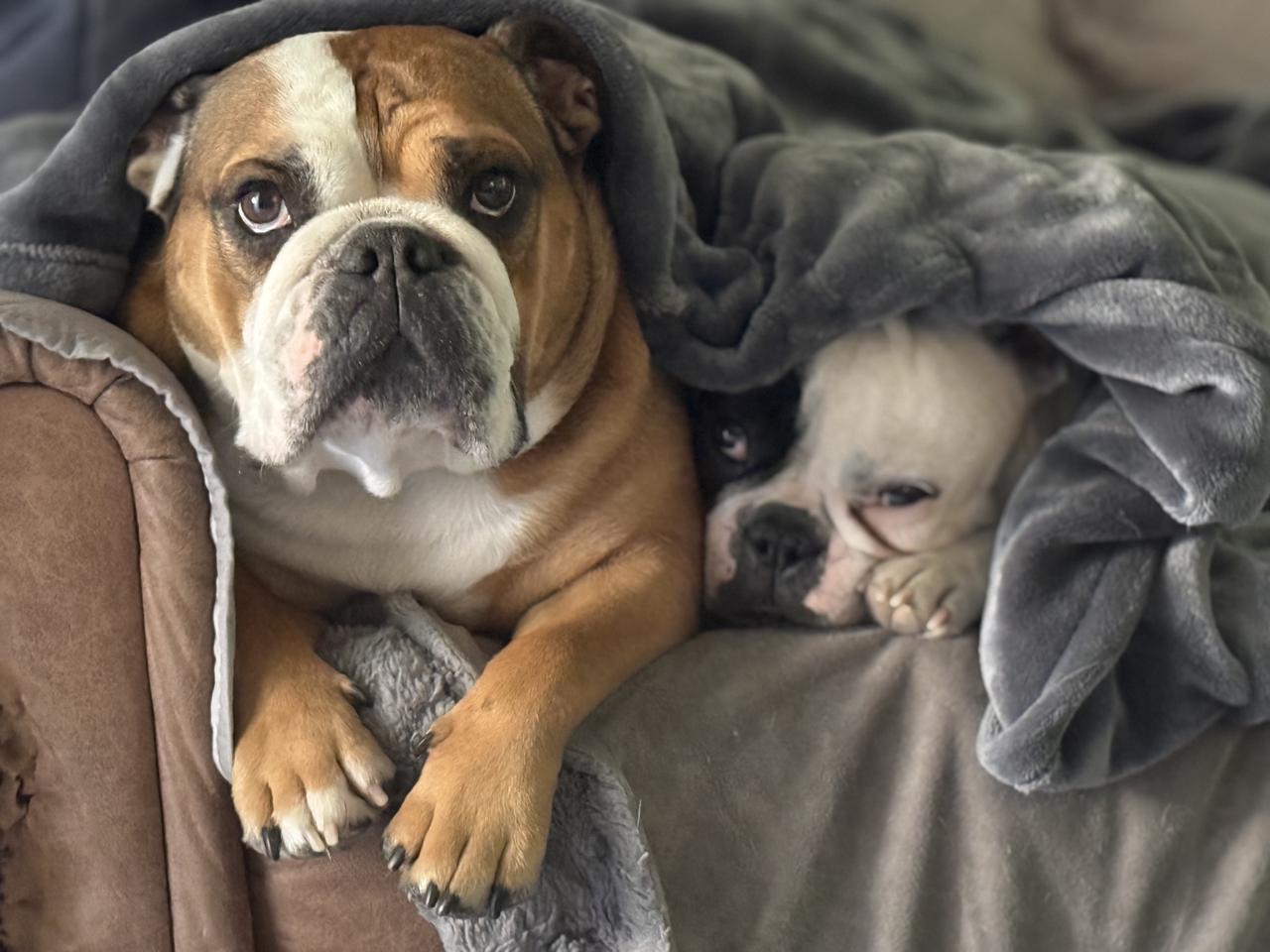 Profile photo 6 of 6