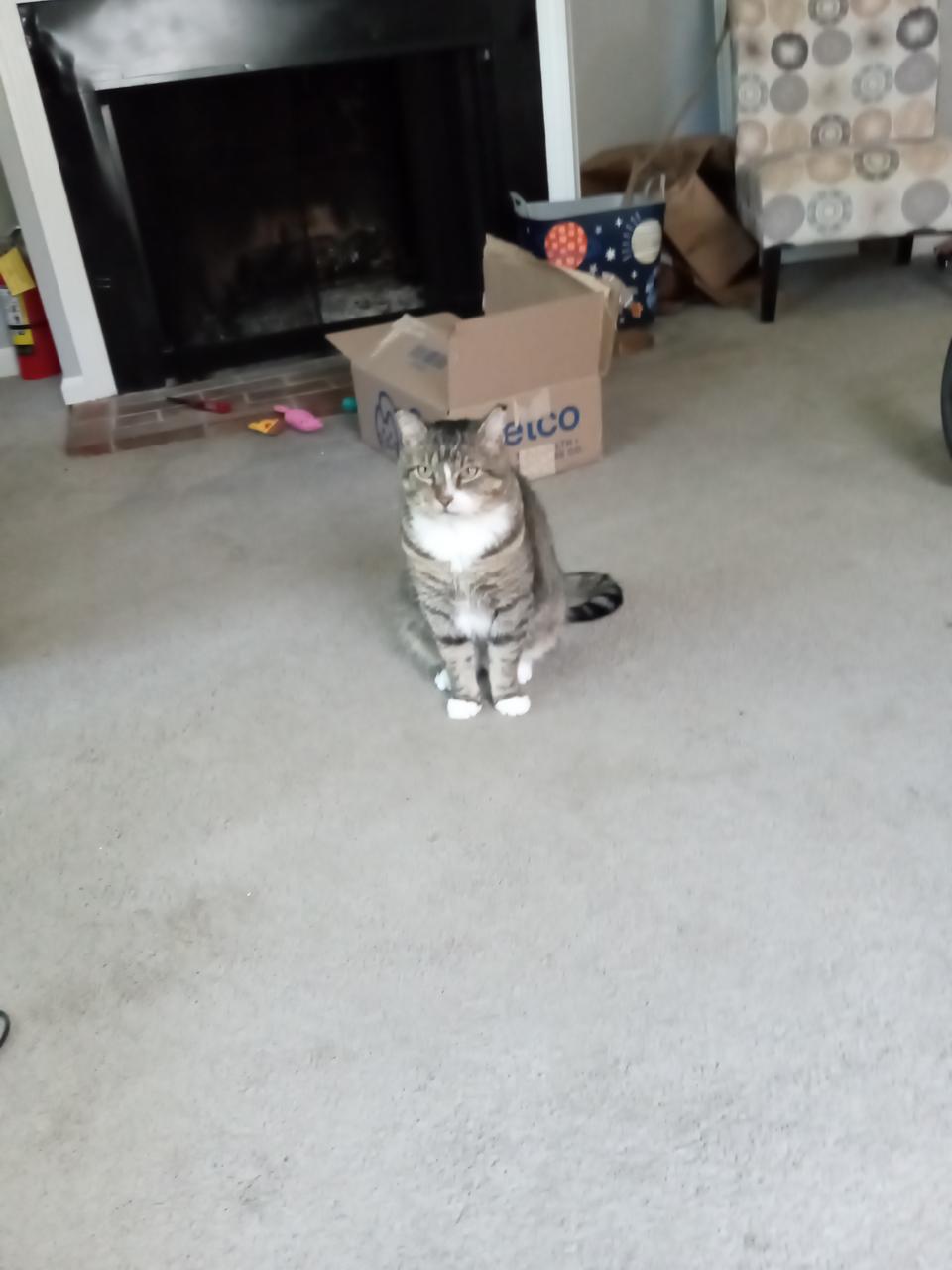 Profile photo 1 of 1