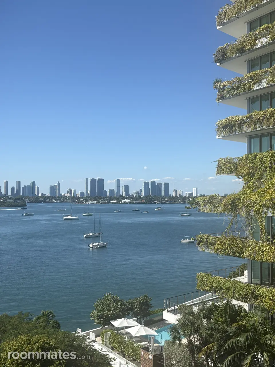 Profile photo 1 of 11