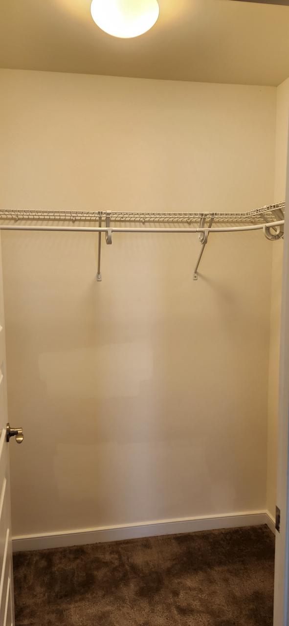 Profile photo 2 of 13